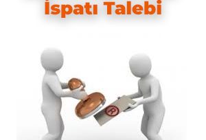 Marka Kullanım İspatı Talebi